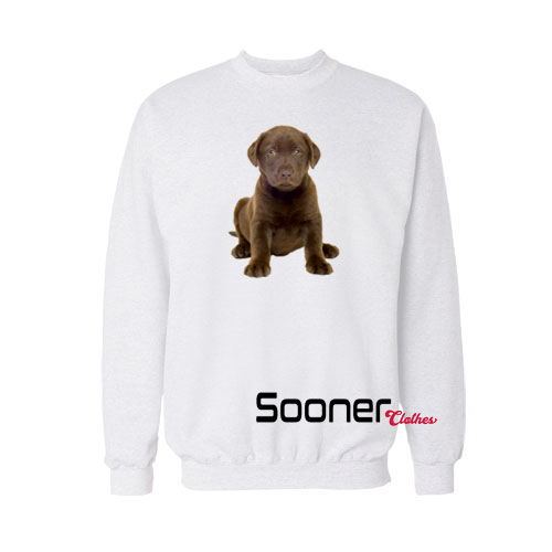 Chocolate Lab Puppy sweatshirt