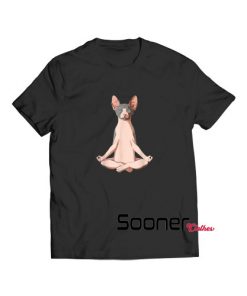 Yoga Sphynx Cat t-shirt