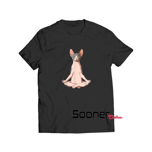 Yoga Sphynx Cat t-shirt
